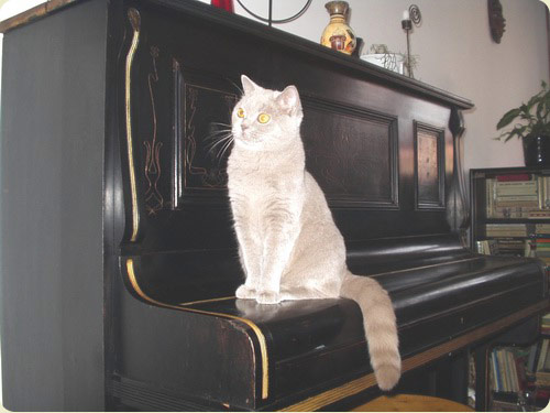 anaska-2004-06.jpg
