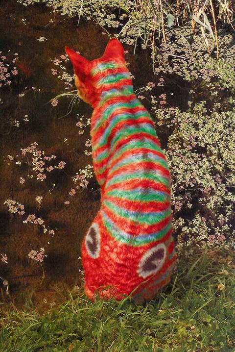 image008.jpg